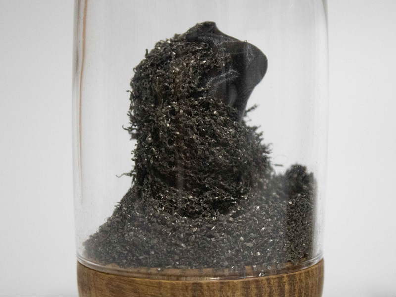 Amir Yahav, Dekel Izacson 