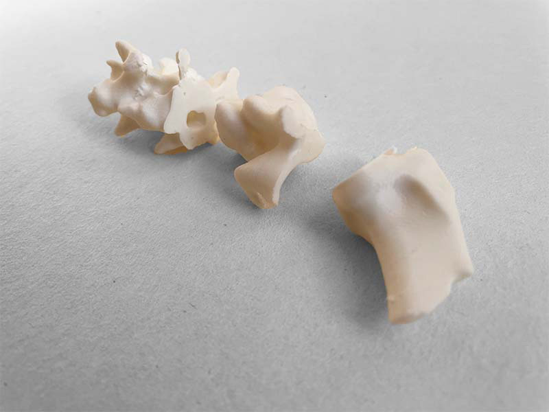  Hala Warwar, Lujain Ellal, Noa cohen, Shany Sialom, Noa rozenfeld