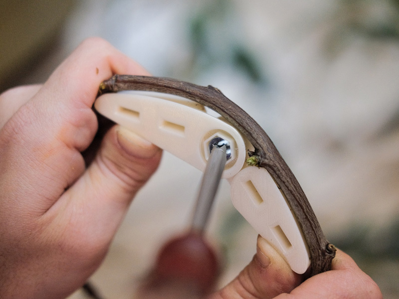  Amir Yahav, Ziv Barlev, shaul gan sinkler, Dekel Izacson, Tal Arbel, Avraham Epstein