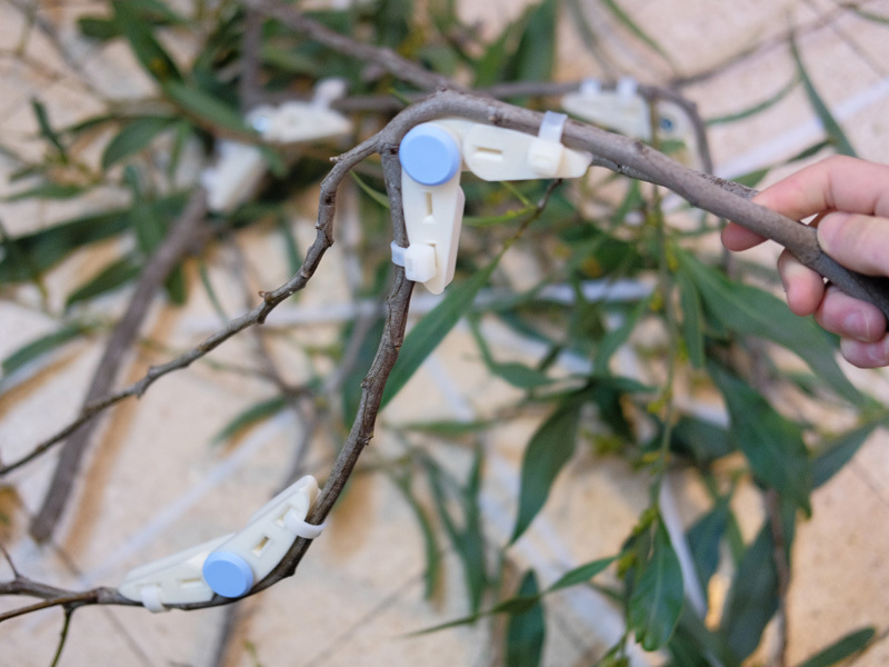  Amir Yahav, Ziv Barlev, shaul gan sinkler, Dekel Izacson, Tal Arbel, Avraham Epstein