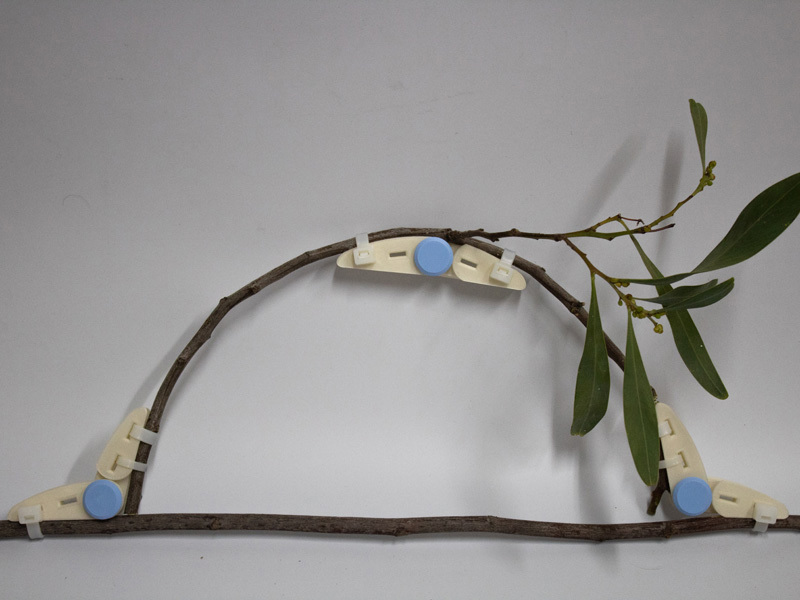  Amir Yahav, Ziv Barlev, shaul gan sinkler, Dekel Izacson, Tal Arbel, Avraham Epstein