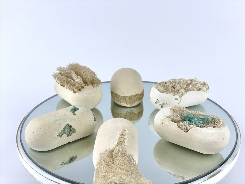 שיר צוקרון, נועה כהן, מאי פלסקוב