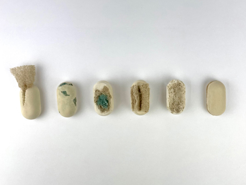 שיר צוקרון, נועה כהן, מאי פלסקוב