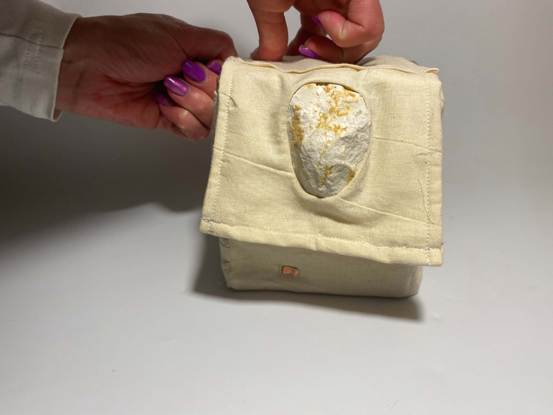 אביגיל בן חמו מיטל סילבר ועדן ישראלי