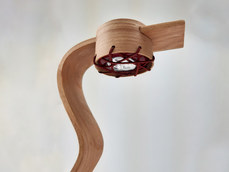 amit tal and daniel feldhamer