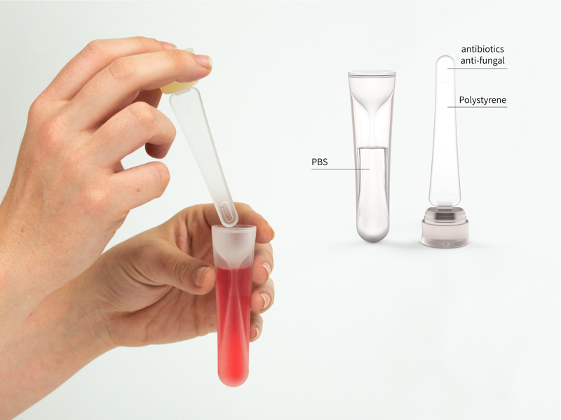 אור ונגרוביץ