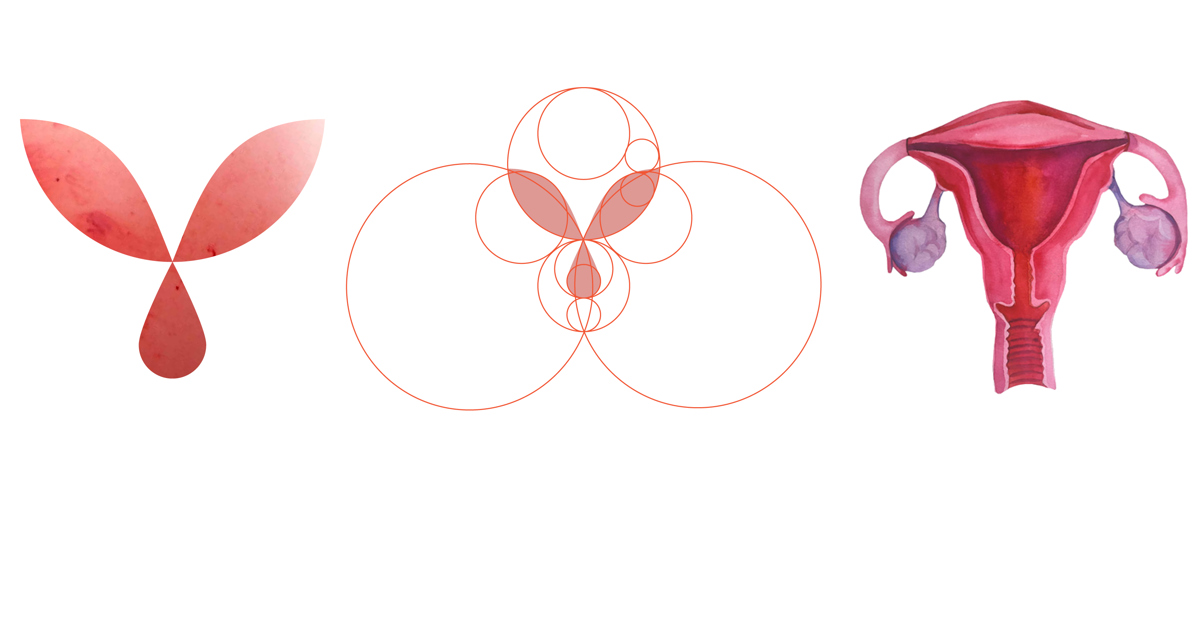 אור ונגרוביץ