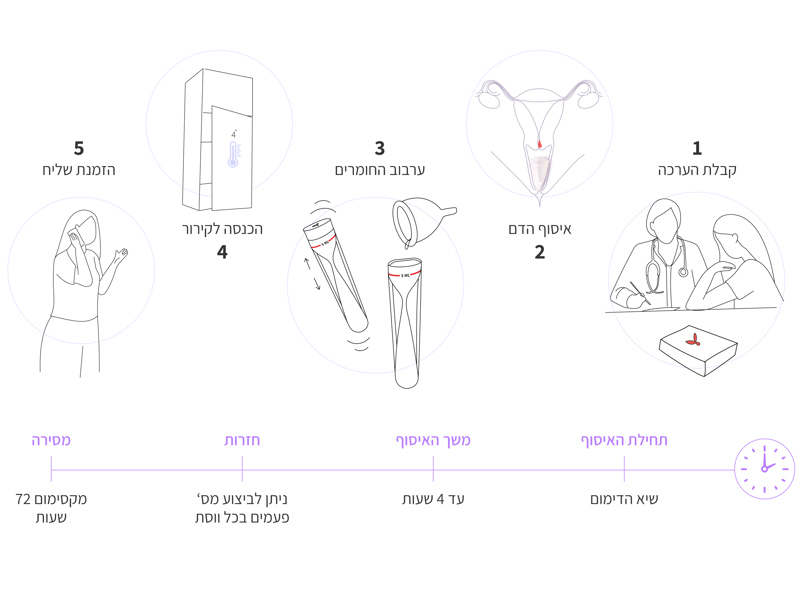 אור ונגרוביץ