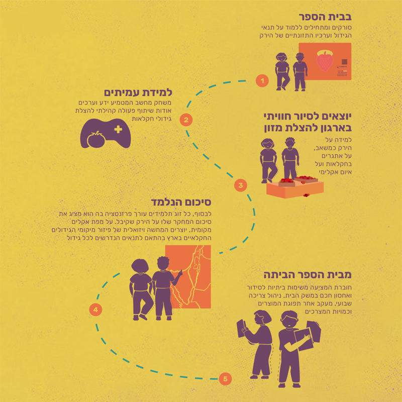 עיצוב נקודות הממשק