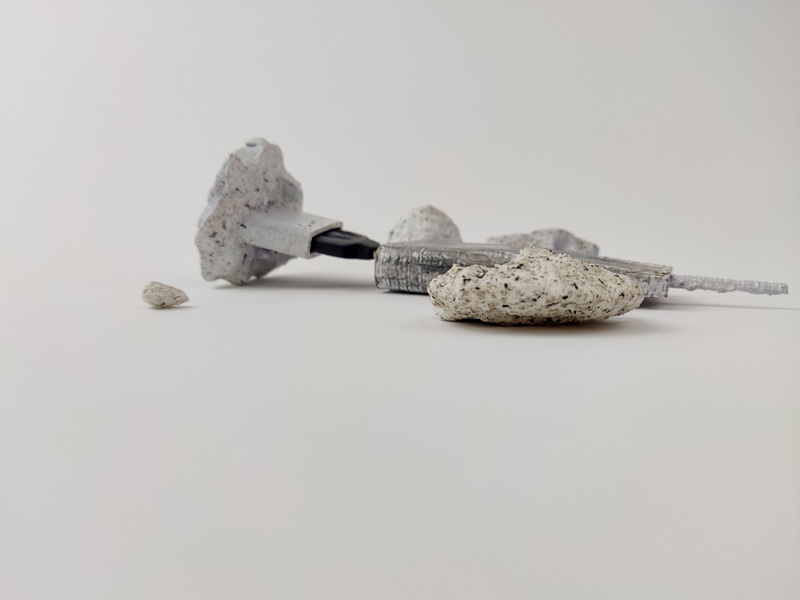 Bar Netanel, Liora Lev Tzion, Aviya Cohen, Adir Navon