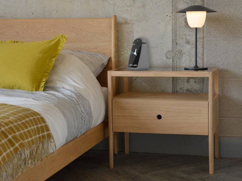 Adir Navon, Ariel Paley