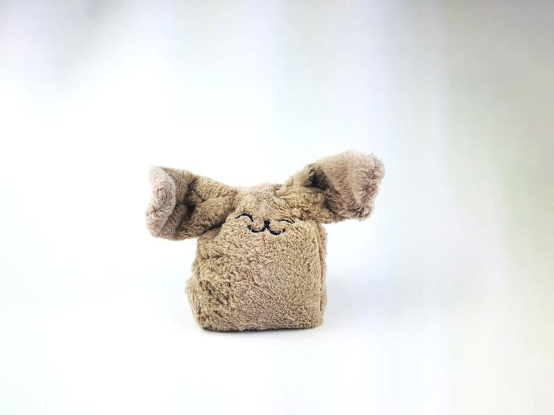 Erel Areye, Sapir Dahan