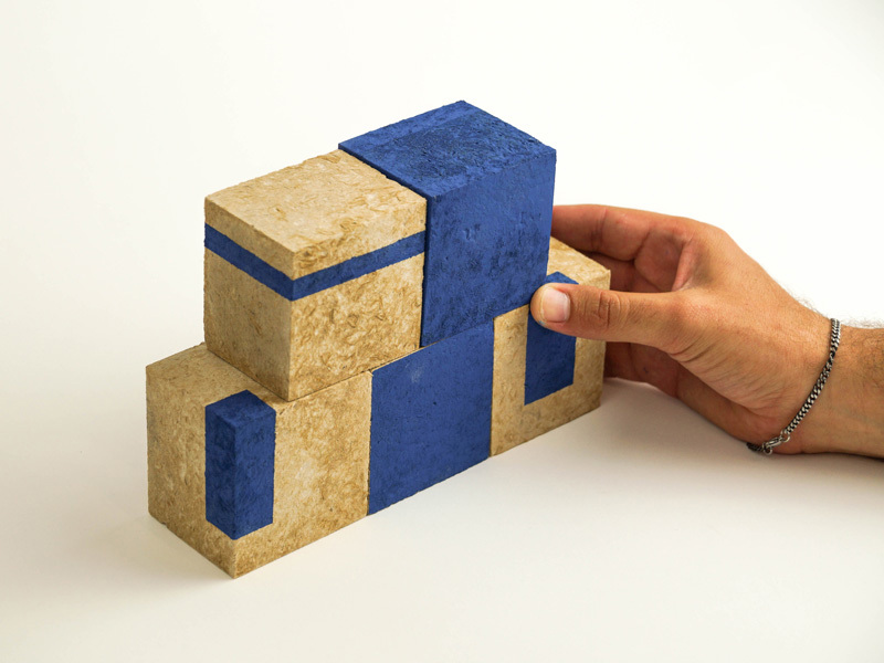 Noam Golany ziv barlev