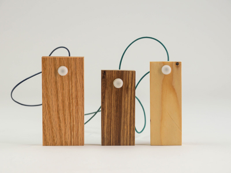 Noam Golany ziv barlev