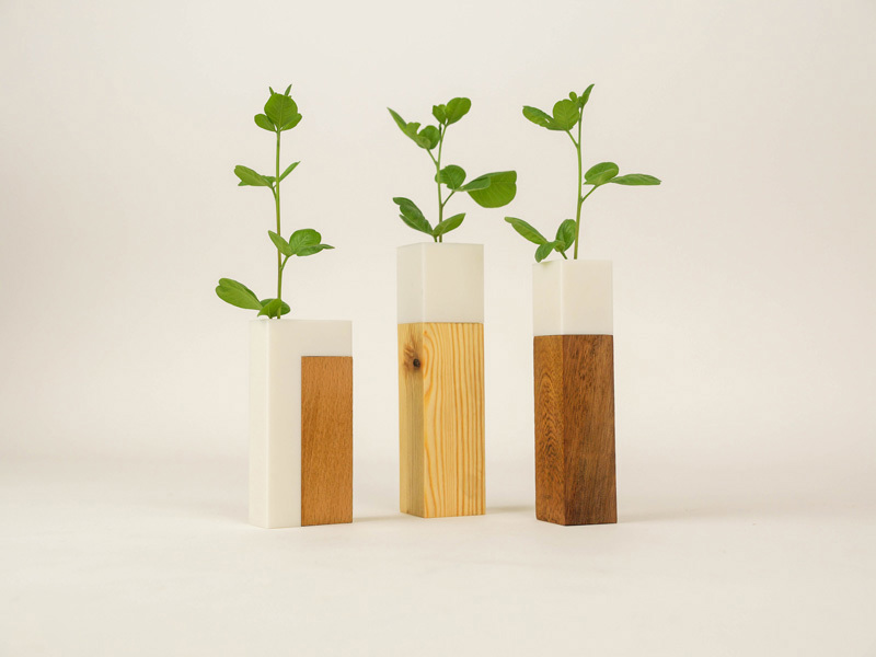 Noam Golany ziv barlev