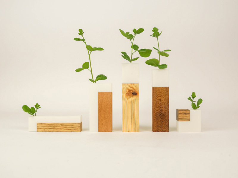 Noam Golany ziv barlev