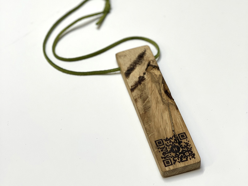 Omer Oster Noa Cohen