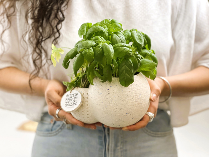 Roni Fadida Tom Adele Ben Hamo