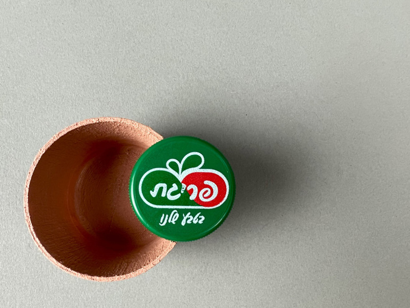 Aviya Cohen and Avihai Chitrit