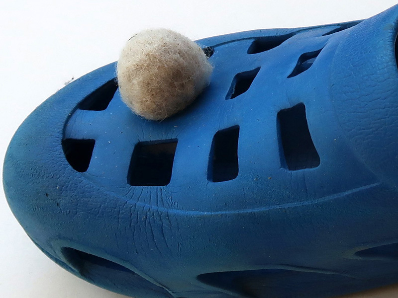 Eleanor atrakji and Amor Berman