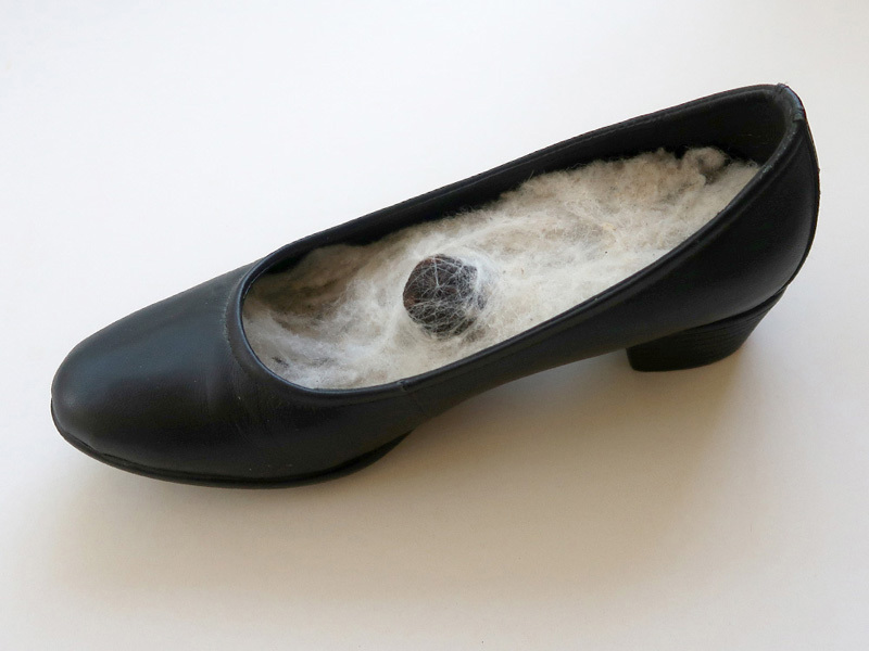 Eleanor atrakji and Amor Berman