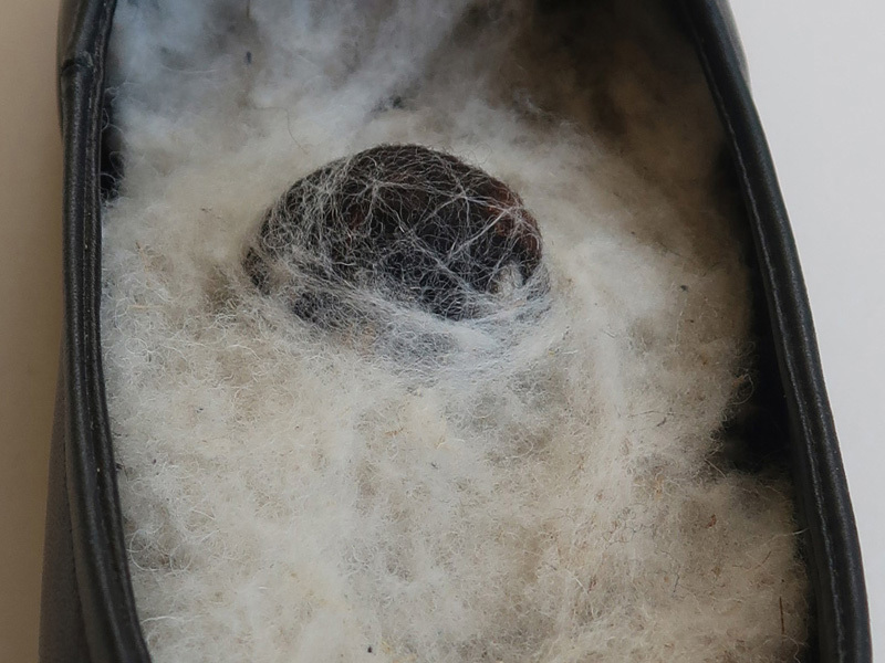 Eleanor atrakji and Amor Berman