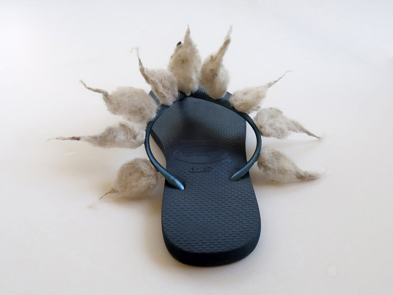 Eleanor atrakji and Amor Berman