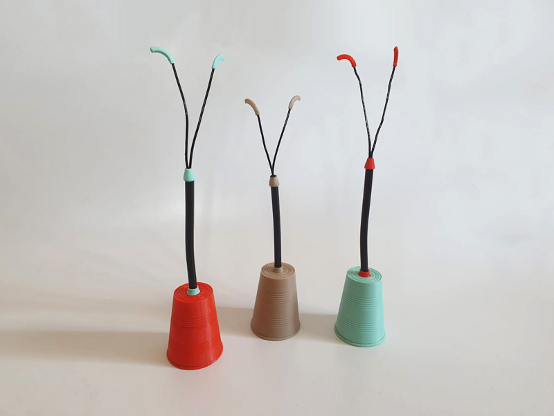 Tene Ariel and Itai Efrat