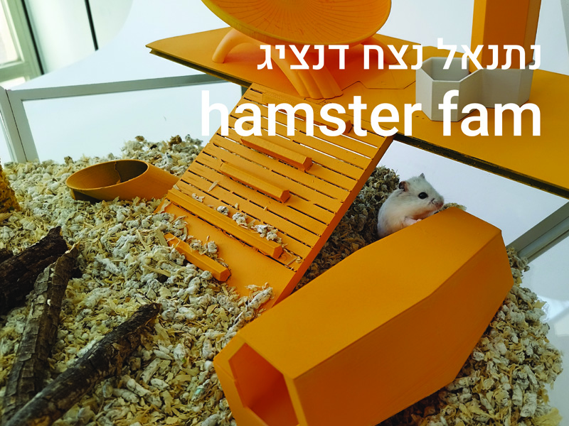 https://humanfirst.hac.ac.il/the-design-among-us-2022-2023/%D7%A4%D7%A8%D7%95%D7%99%D7%99%D7%A7%D7%98%D7%99-%D7%92%D7%9E%D7%A8/%D7%A0%D7%AA%D7%A0%D7%90%D7%9C-%D7%93%D7%A0%D7%A6%D7%99%D7%92/