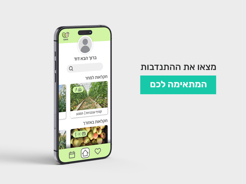 Itai Efrat, Tene Ariel and Noya Meir