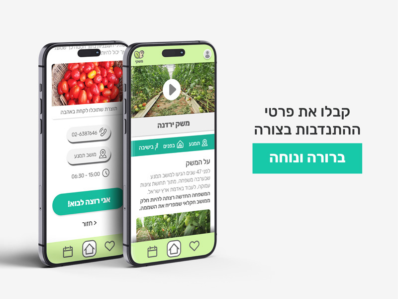 Itai Efrat, Tene Ariel and Noya Meir