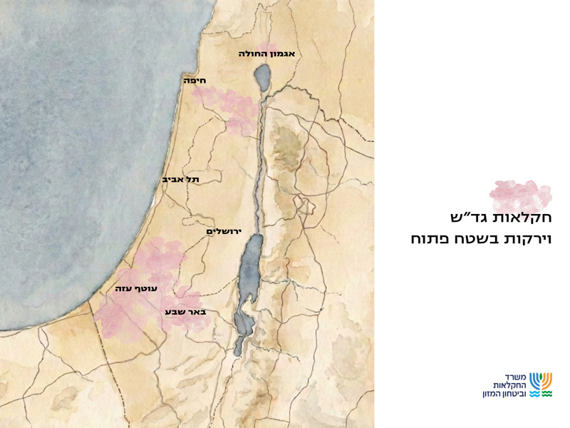 רויה פרלמוטר