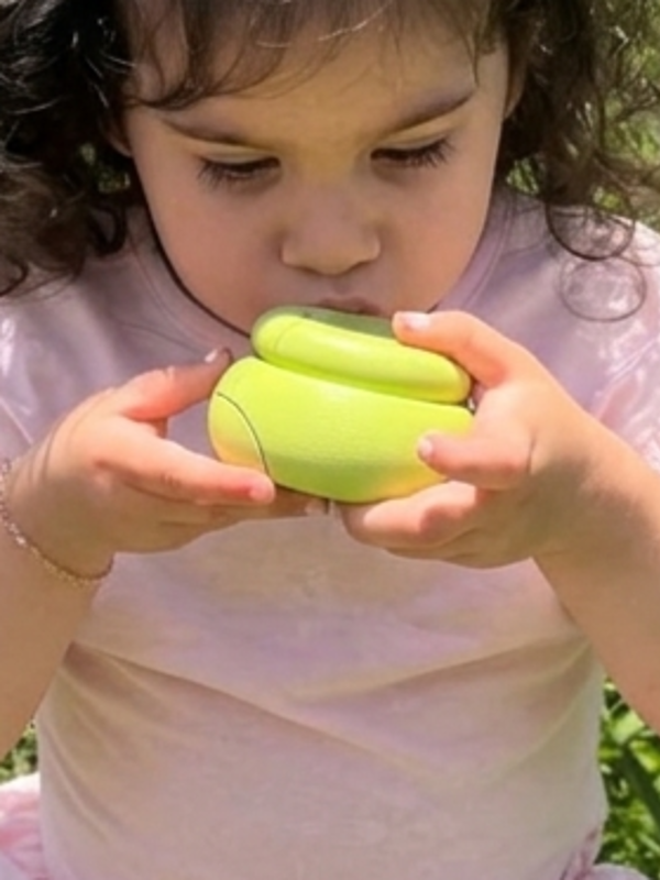שיראל בן חיים