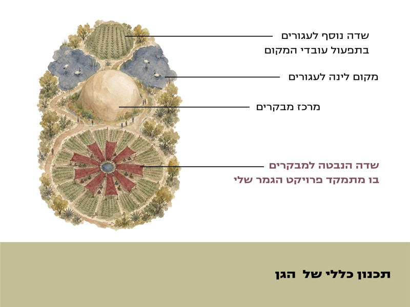 רויה פרלמוטר