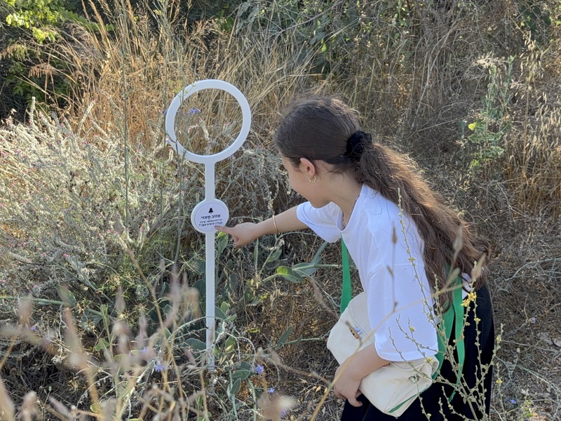 עידית נתנאל מנחם