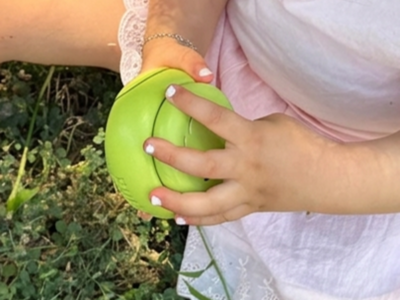 שיראל בן חיים