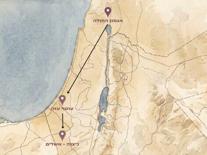 רויה פרלמוטר